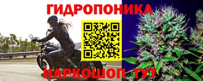 стафф Моздок