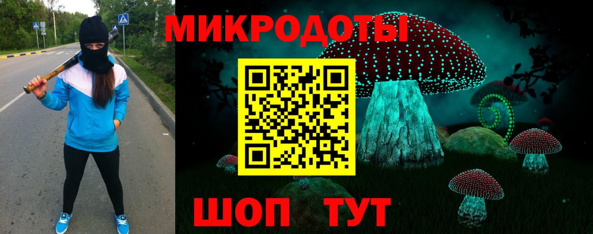 Тихорецк  Псилоцибиновые грибы Psilocybine cubensis  Вход с VPN  Псилоцибиновые грибы Psilocybe 